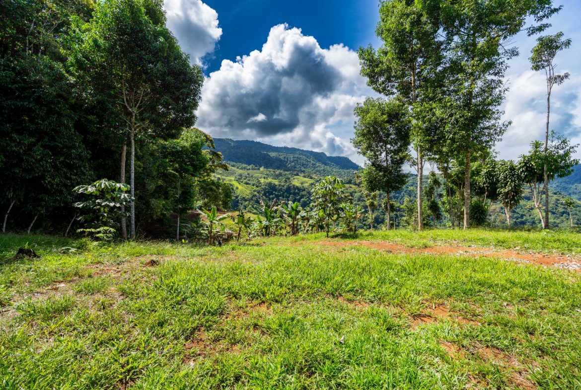 PROPERTY NEAR A WATERFALL IN SAN LUIS – 7.4 ACRES