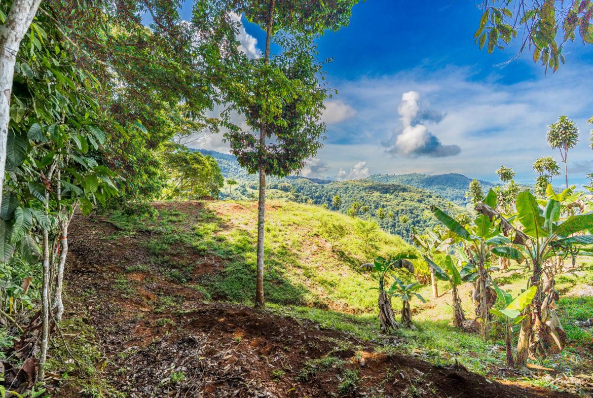 PROPERTY NEAR A WATERFALL IN SAN LUIS – 7.4 ACRES