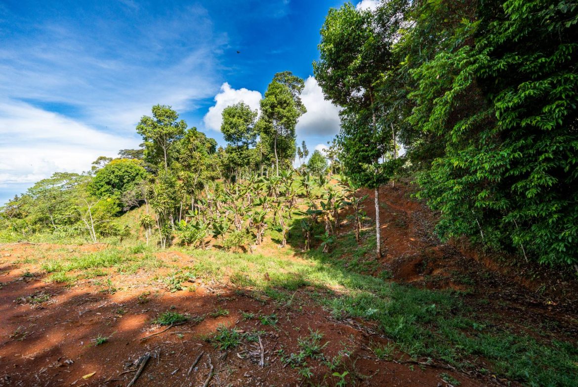 PROPERTY NEAR A WATERFALL IN SAN LUIS – 7.4 ACRES
