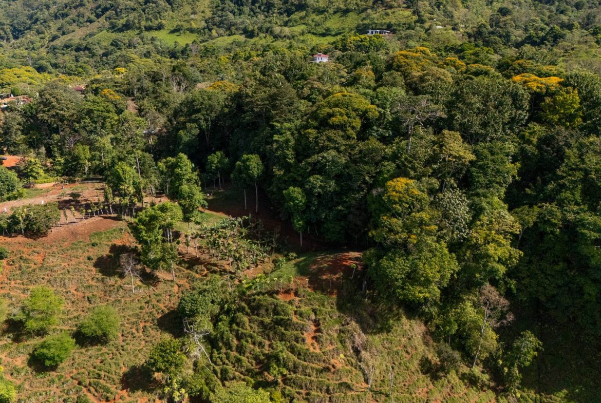 PROPERTY NEAR A WATERFALL IN SAN LUIS – 7.4 ACRES