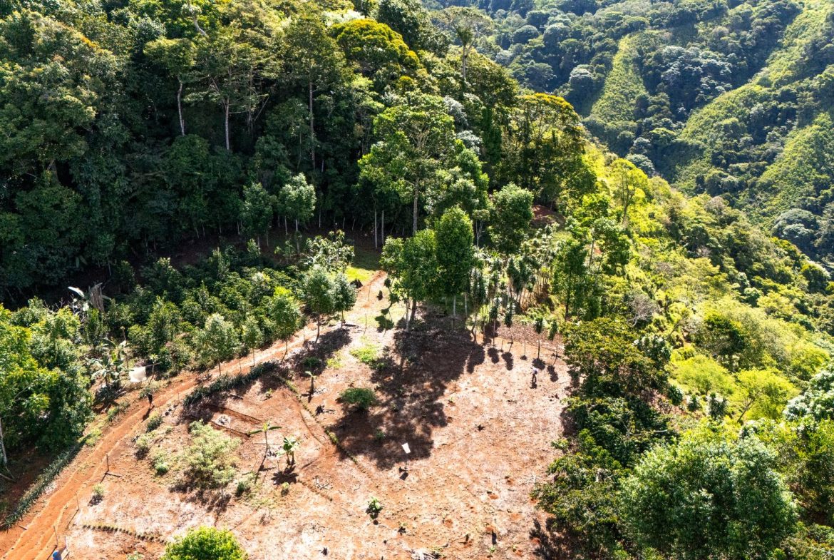 PROPERTY NEAR A WATERFALL IN SAN LUIS – 7.4 ACRES