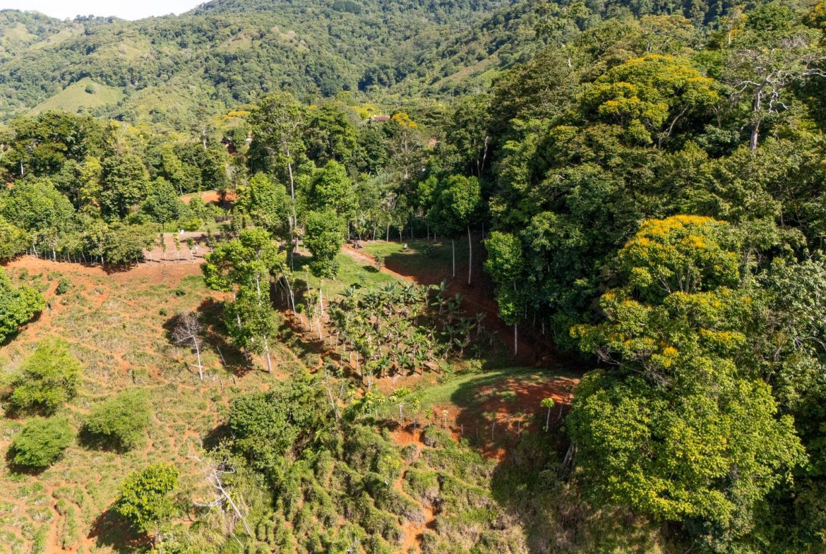 PROPERTY NEAR A WATERFALL IN SAN LUIS – 7.4 ACRES