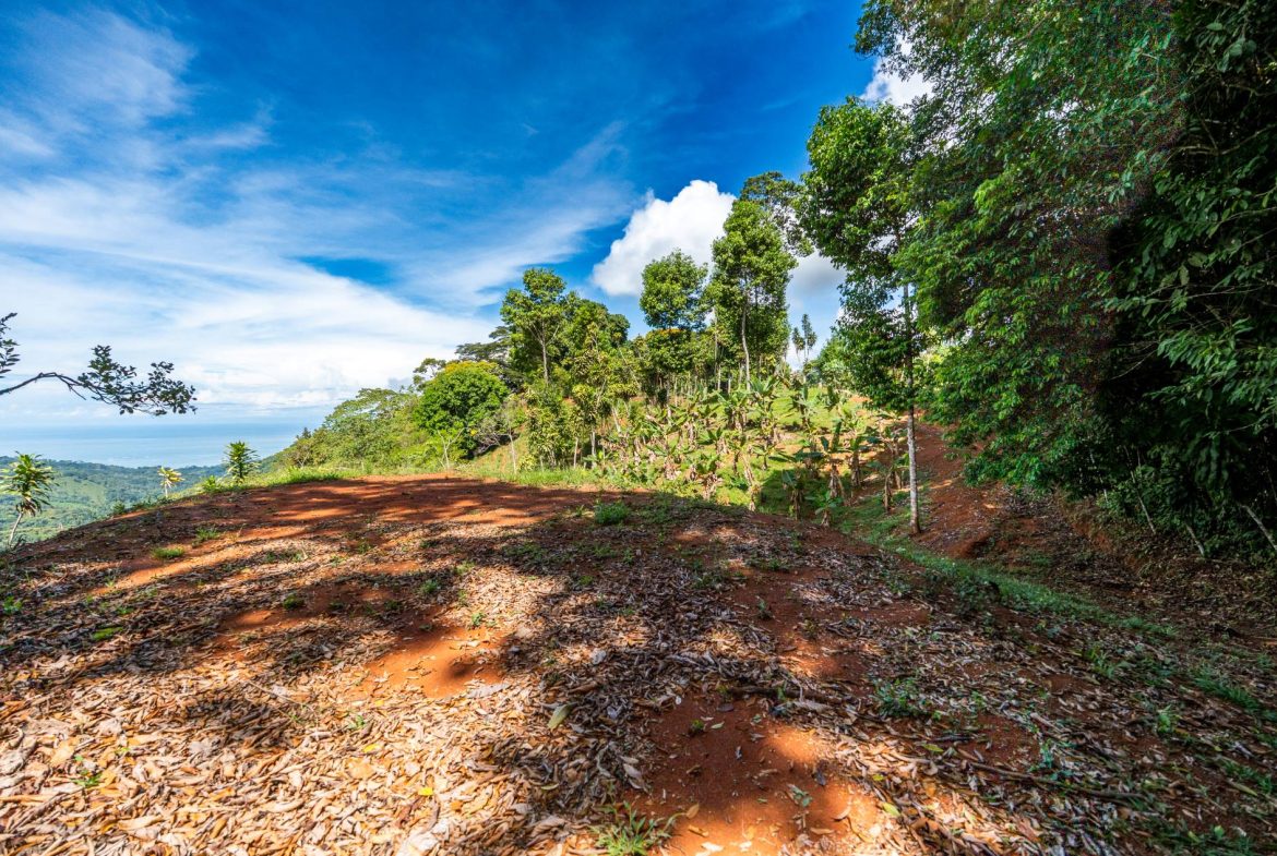PROPERTY NEAR A WATERFALL IN SAN LUIS – 7.4 ACRES