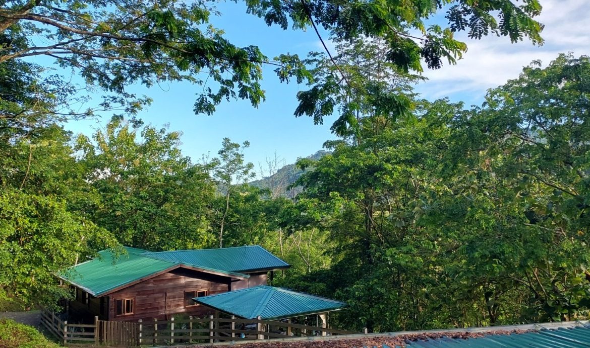 PROPERTY WITH 3 BEDROOMS IN TRES RIOS – 6.2 ACRES