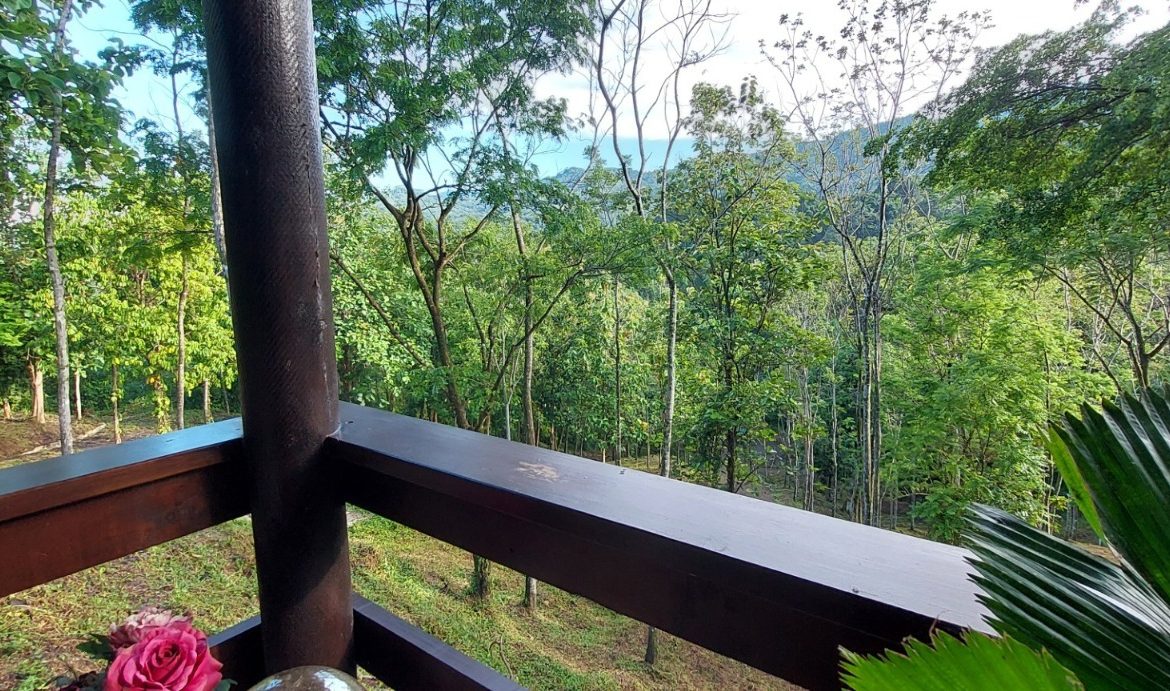 PROPERTY WITH 3 BEDROOMS IN TRES RIOS – 6.2 ACRES
