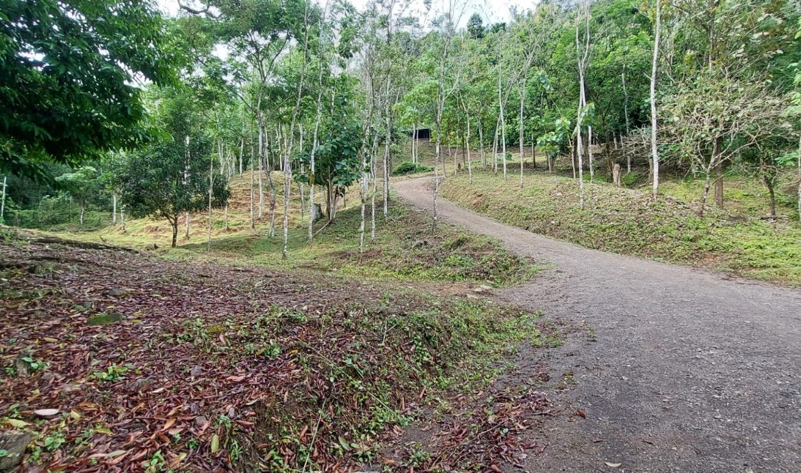 PROPERTY WITH 3 BEDROOMS IN TRES RIOS – 6.2 ACRES