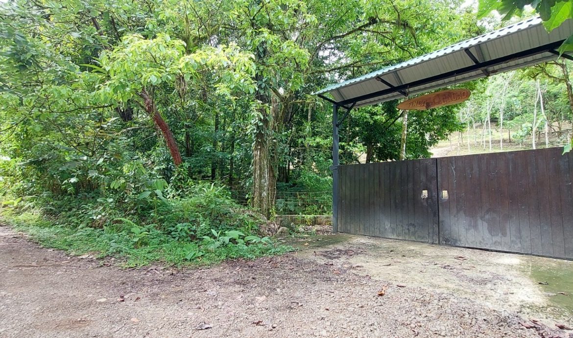 PROPERTY WITH 3 BEDROOMS IN TRES RIOS – 6.2 ACRES