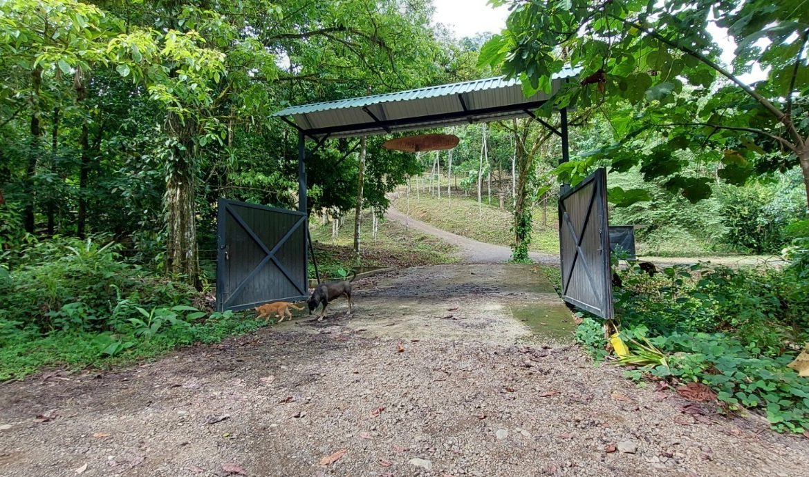 PROPERTY WITH 3 BEDROOMS IN TRES RIOS – 6.2 ACRES