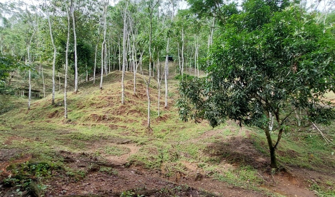 PROPERTY WITH 3 BEDROOMS IN TRES RIOS – 6.2 ACRES
