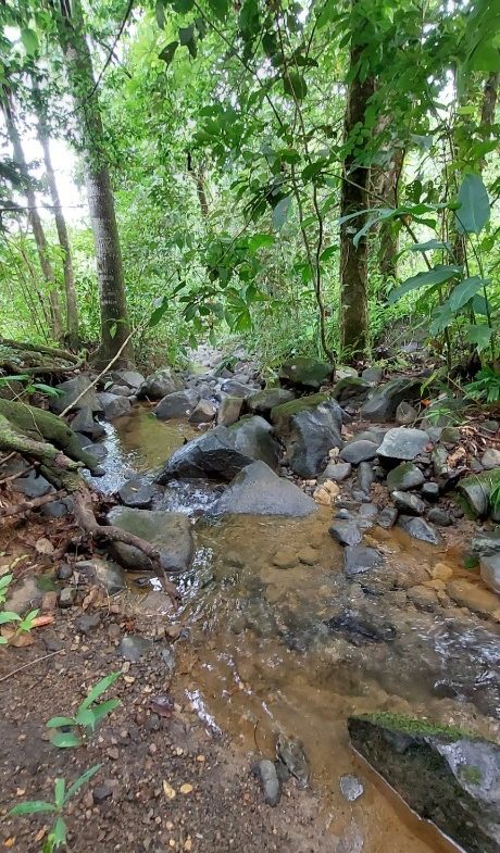 PROPERTY WITH 3 BEDROOMS IN TRES RIOS – 6.2 ACRES