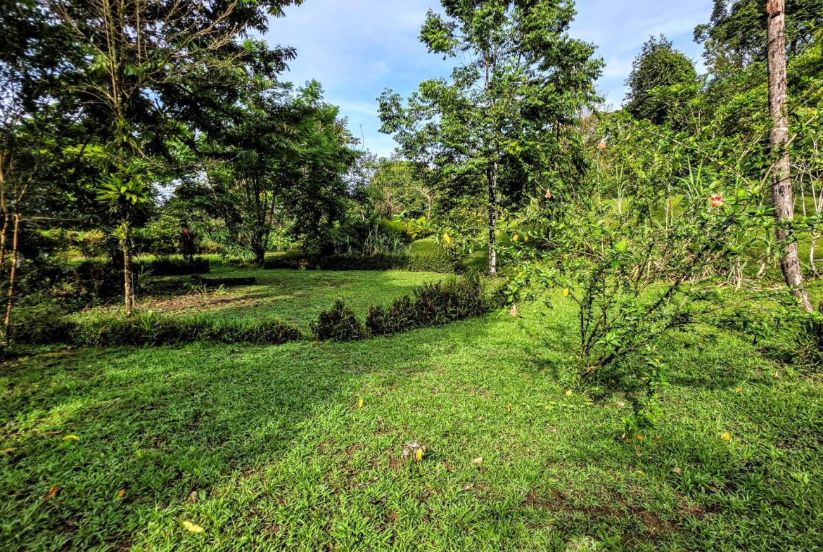 AMAZING PROPERTY WITH A WATERFALL, IN DOS BOCAS HATILLO – 344 ACRES, Uvita, Costa Rica — photo 5