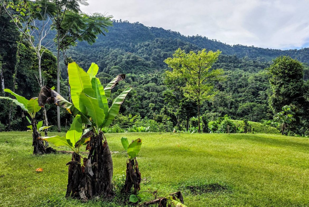 AMAZING PROPERTY WITH A WATERFALL, IN DOS BOCAS HATILLO – 344 ACRES, Uvita, Costa Rica — photo 6