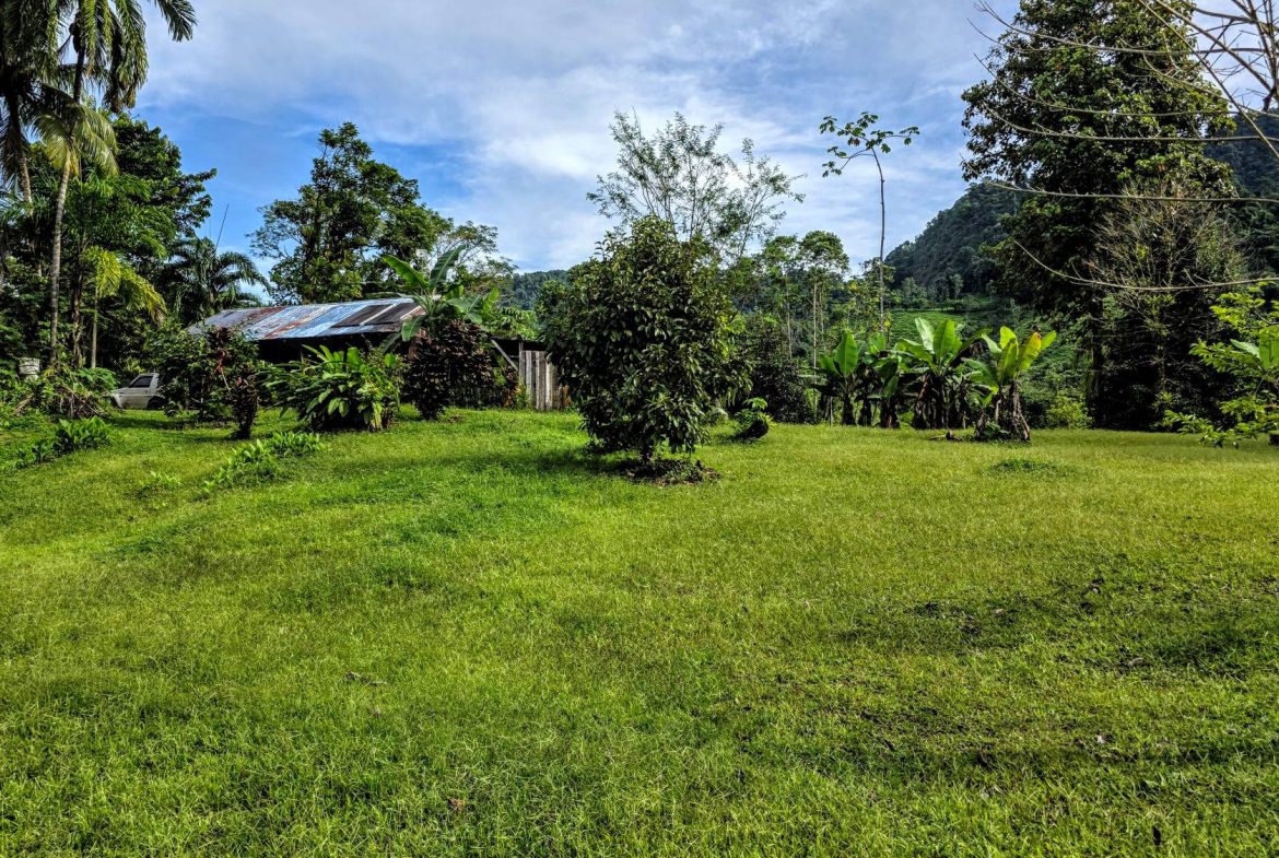 AMAZING PROPERTY WITH A WATERFALL, IN DOS BOCAS HATILLO – 344 ACRES, Uvita, Costa Rica — photo 7