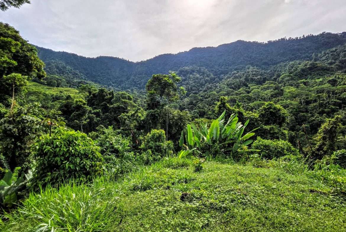 AMAZING PROPERTY WITH A WATERFALL, IN DOS BOCAS HATILLO – 344 ACRES, Uvita, Costa Rica — photo 8