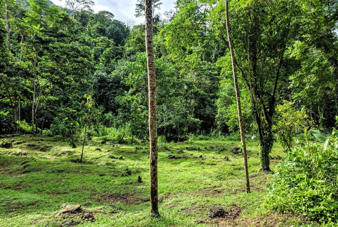 AMAZING PROPERTY WITH A WATERFALL, IN DOS BOCAS HATILLO – 344 ACRES