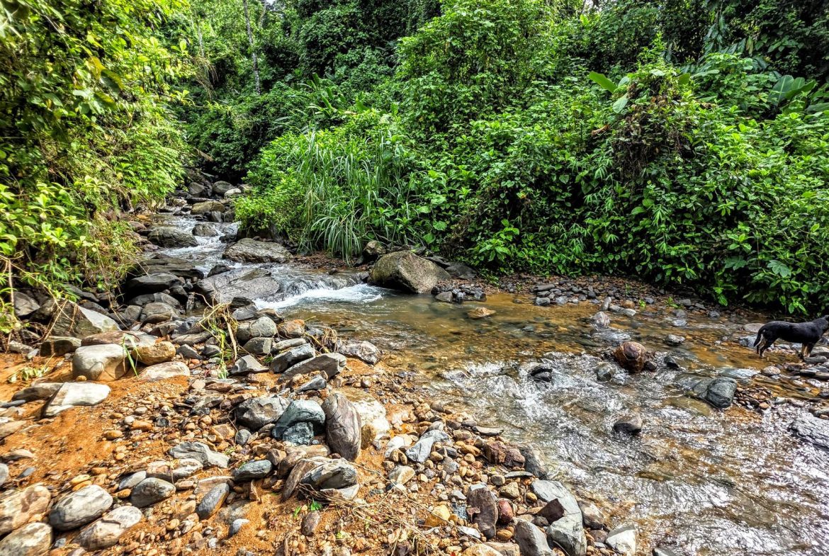 AMAZING PROPERTY WITH A WATERFALL, IN DOS BOCAS HATILLO – 344 ACRES