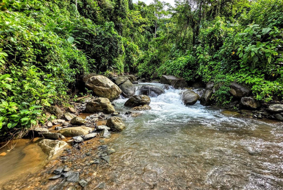 AMAZING PROPERTY WITH A WATERFALL, IN DOS BOCAS HATILLO – 344 ACRES