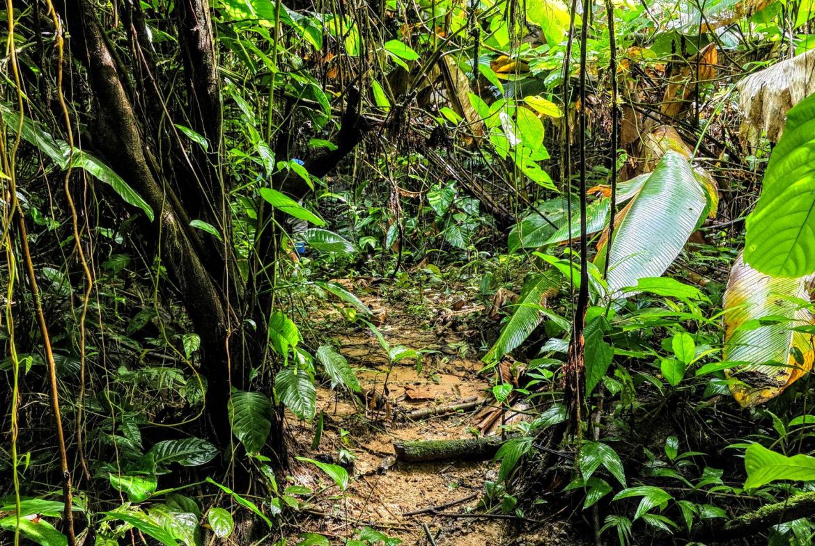 AMAZING PROPERTY WITH A WATERFALL, IN DOS BOCAS HATILLO – 344 ACRES