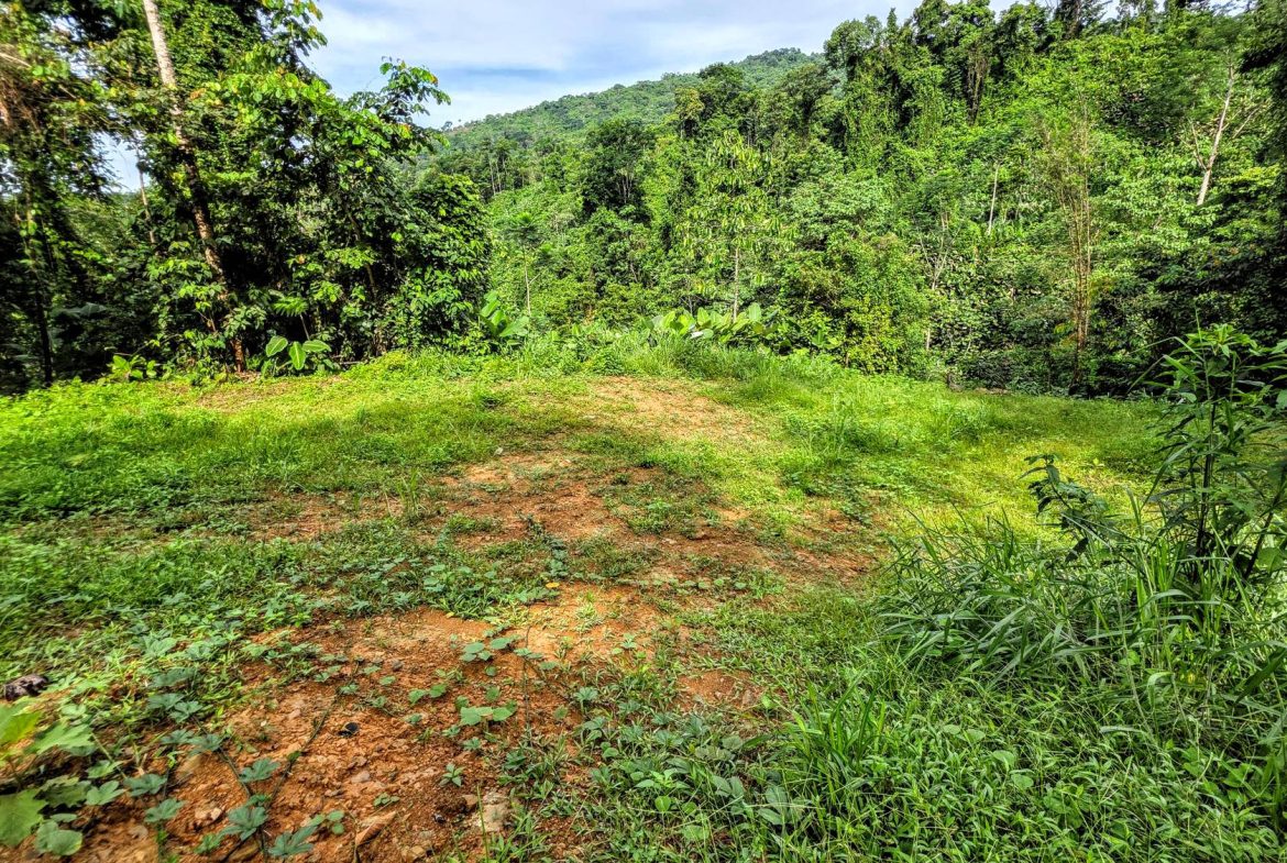 AMAZING PROPERTY WITH A WATERFALL, IN DOS BOCAS HATILLO – 344 ACRES