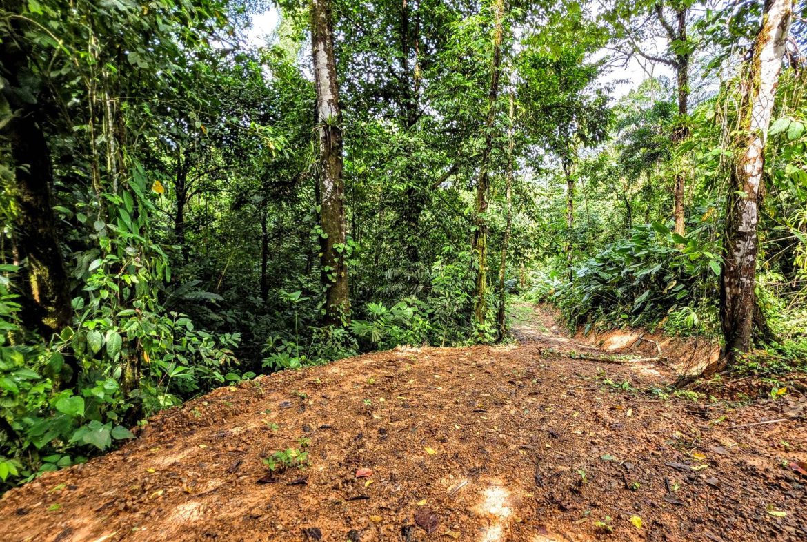 AMAZING PROPERTY WITH A WATERFALL, IN DOS BOCAS HATILLO – 344 ACRES
