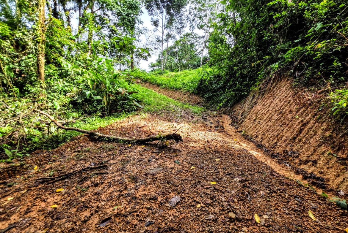 AMAZING PROPERTY WITH A WATERFALL, IN DOS BOCAS HATILLO – 344 ACRES