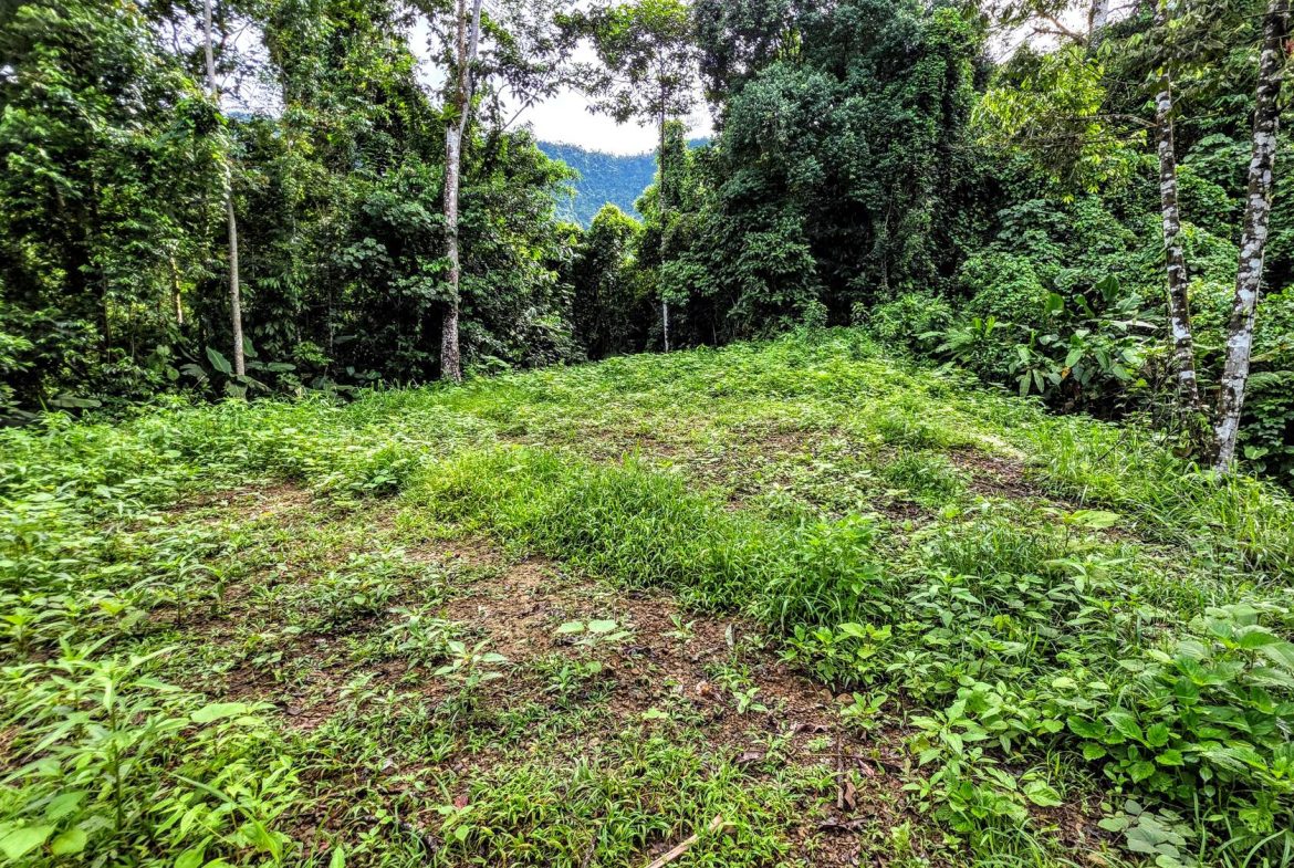 AMAZING PROPERTY WITH A WATERFALL, IN DOS BOCAS HATILLO – 344 ACRES