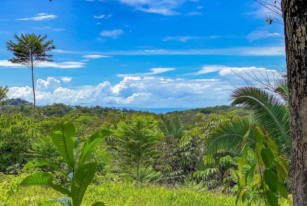 PROPERTY WITH MOUNTAIN VIEW, IN OJOCHAL – 3.92 ACRES