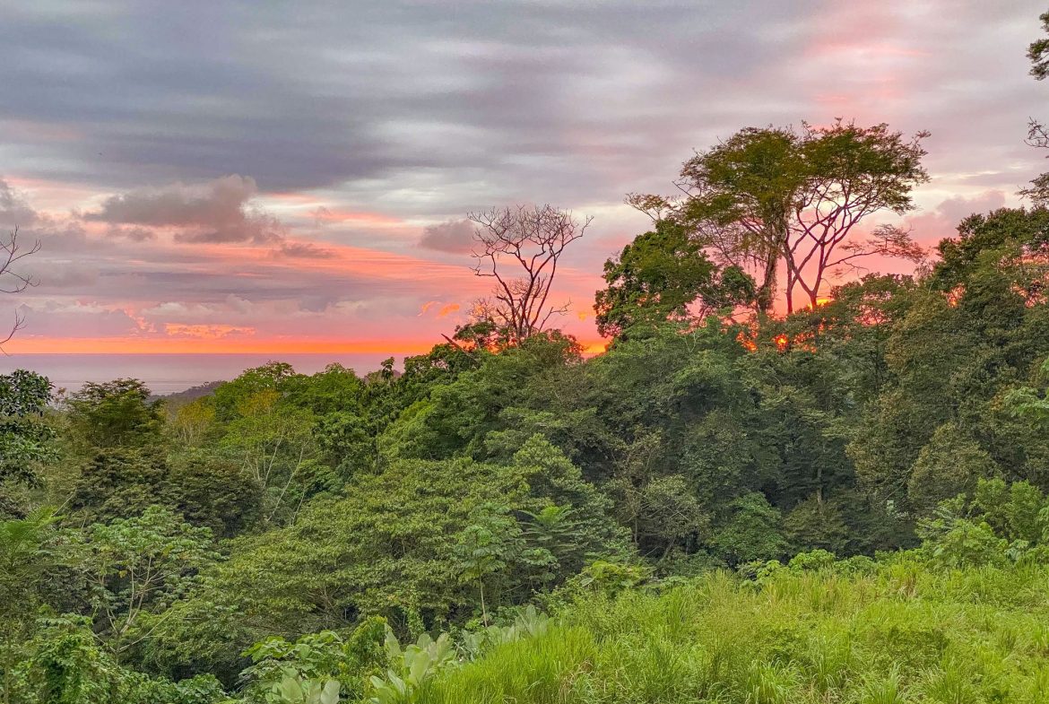 PROPERTY WITH MOUNTAIN VIEW, IN OJOCHAL – 3.92 ACRES