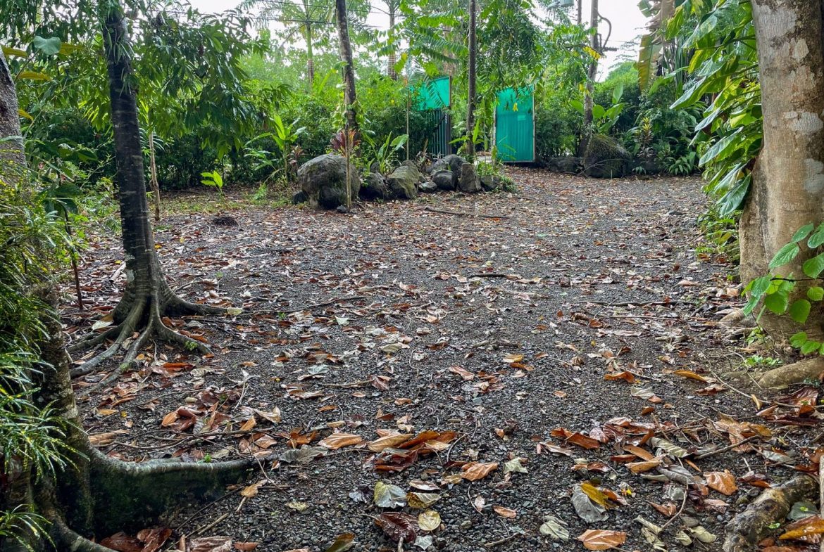PROPERTY WITH 1 BEDROOM, IN OJOCHAL – 0.75 ACRES, Uvita, Costa Rica — photo 5