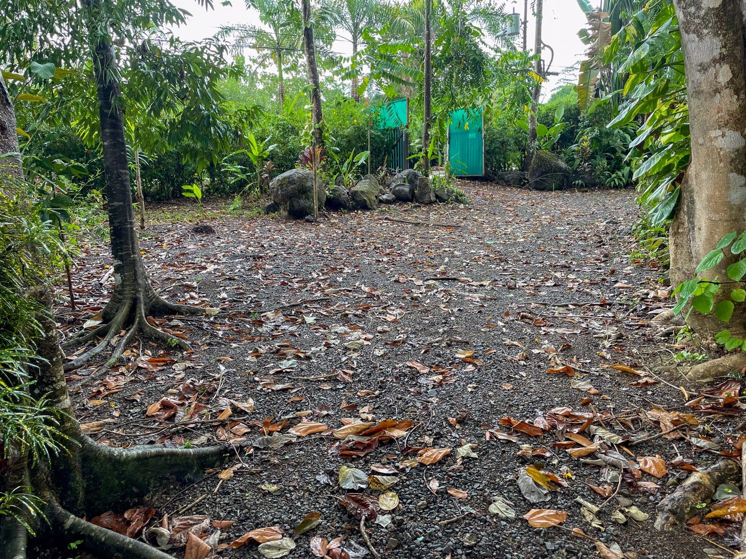 4560 House For Sale Buganvilla Ojochal 03