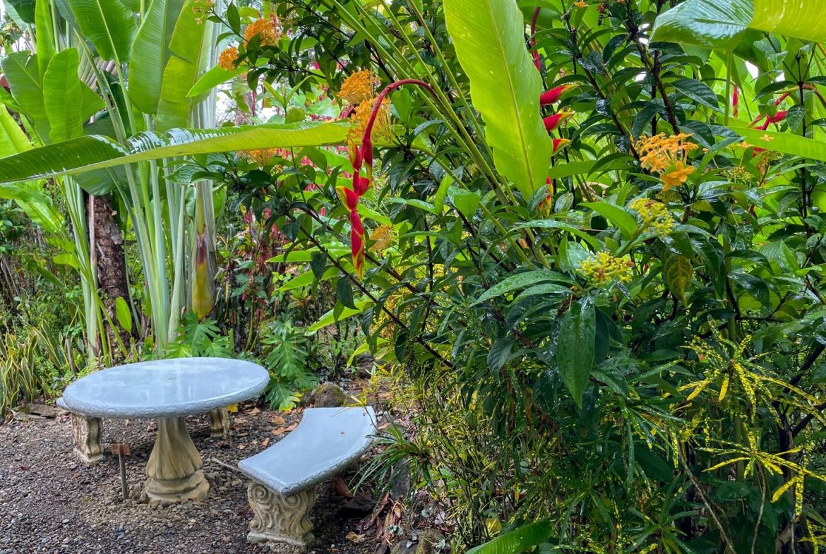 PROPERTY WITH 1 BEDROOM, IN OJOCHAL – 0.75 ACRES, Uvita, Costa Rica — photo 6