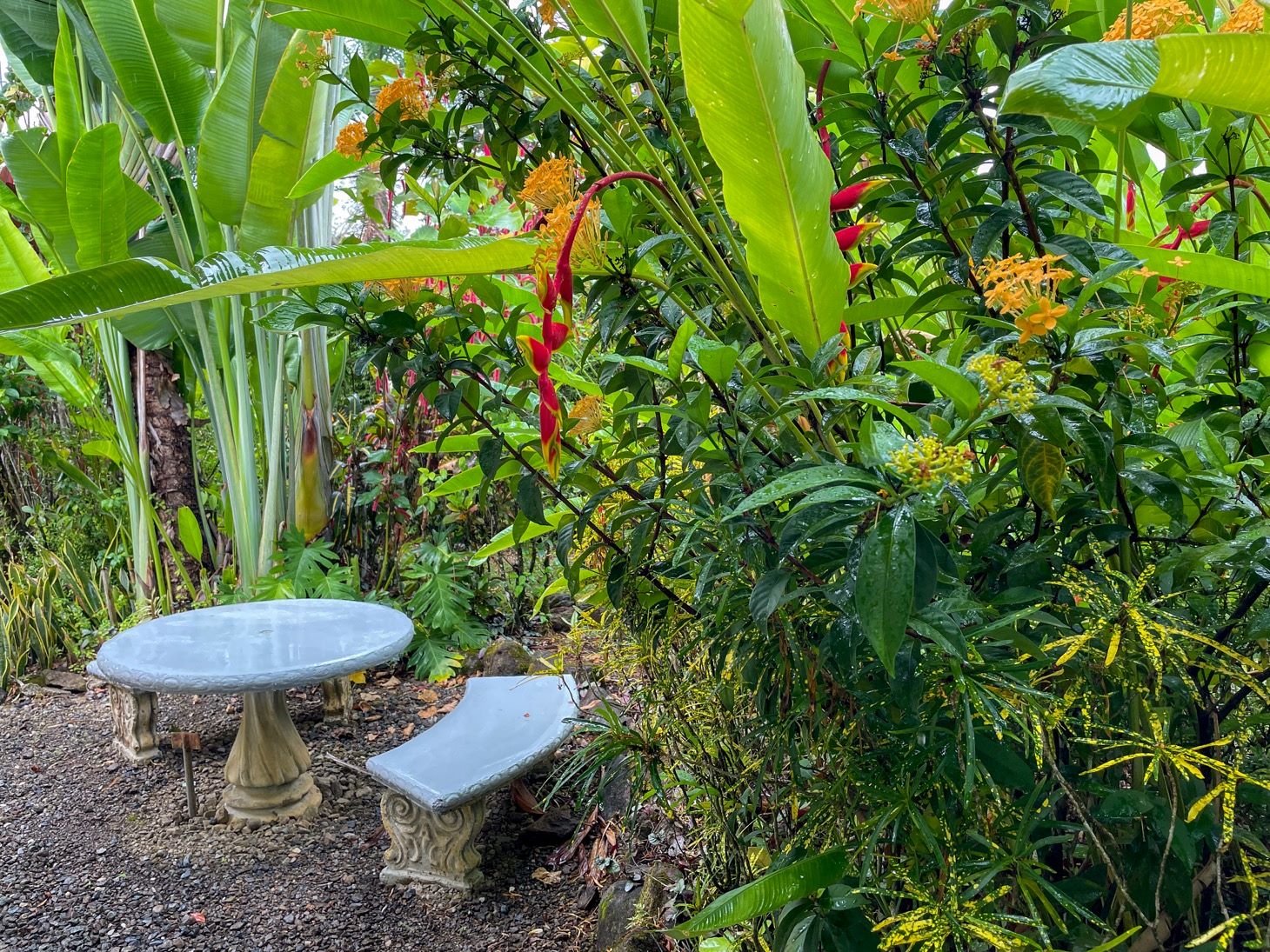 4560 House For Sale Buganvilla Ojochal 04