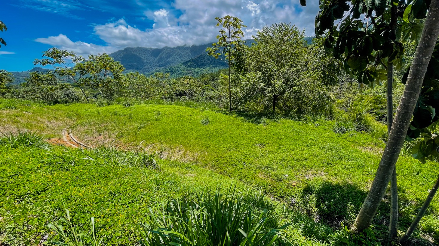 Property For Sale in Ojochal Costa Rica