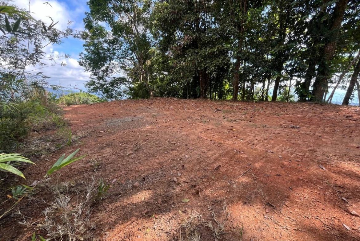 PROPERTY WITH SUNSET VIEW PUNTA MALA – 2.16 ACRES