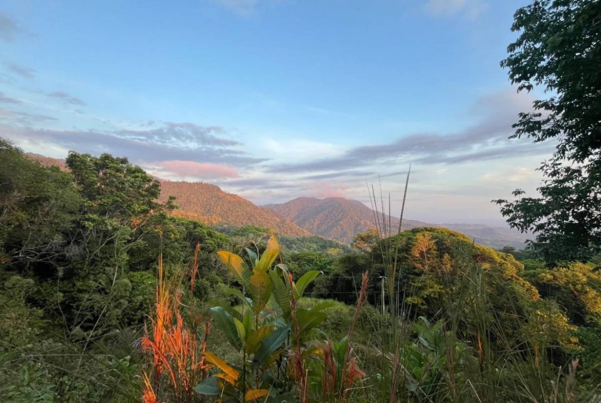 PROPERTY WITH SUNSET VIEW PUNTA MALA – 2.16 ACRES