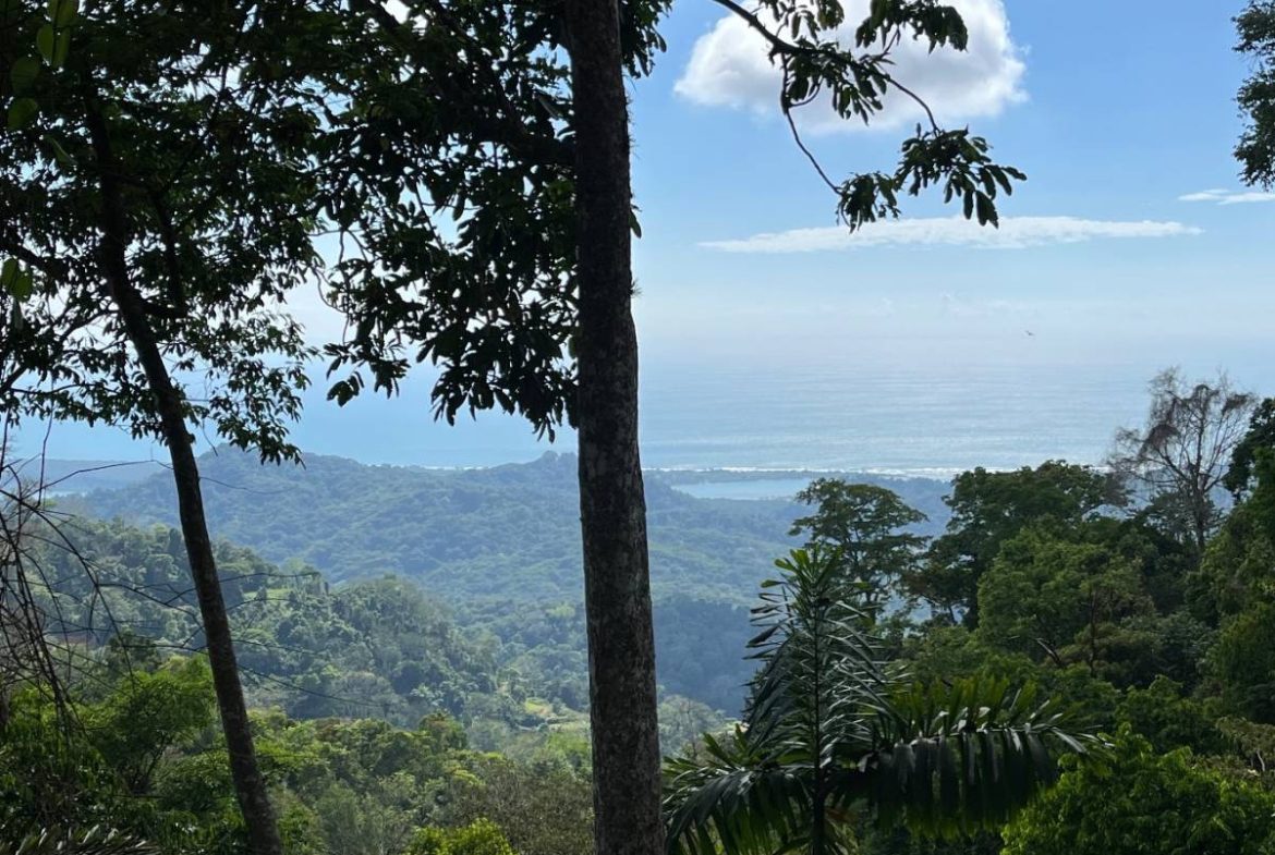 PROPERTY WITH SUNSET VIEW PUNTA MALA – 2.16 ACRES