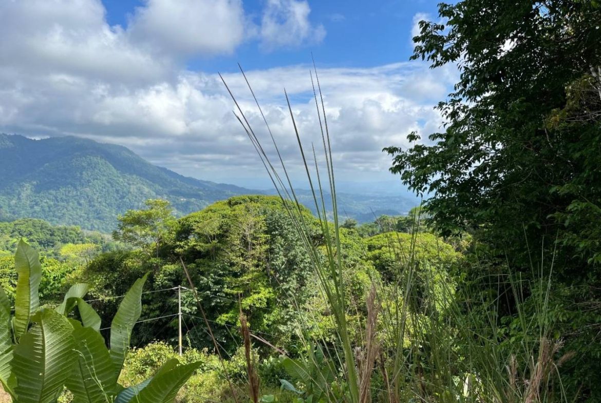 PROPERTY WITH SUNSET VIEW PUNTA MALA – 2.16 ACRES