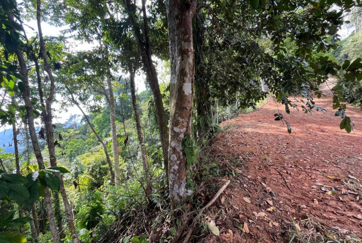 PROPERTY WITH SUNSET VIEW PUNTA MALA – 2.16 ACRES