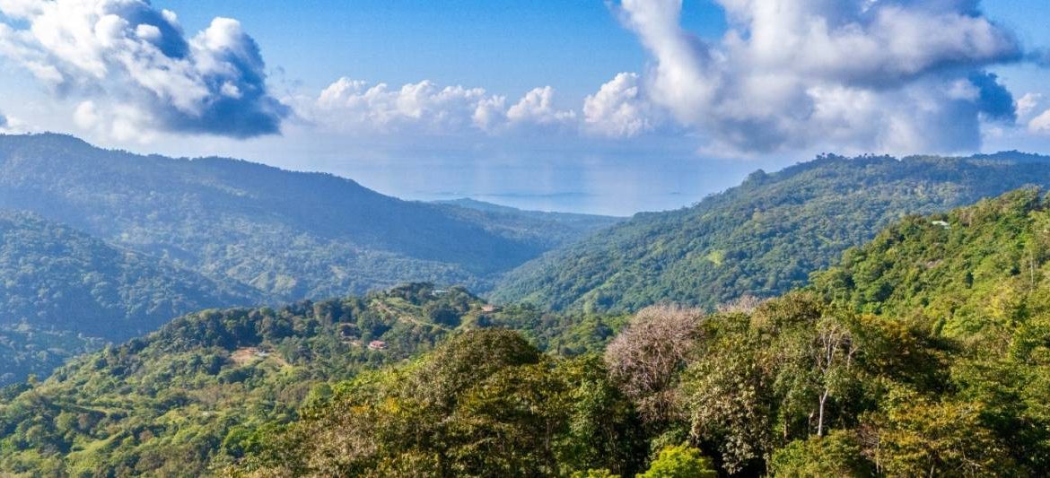 PROPERTY NEAR A WATERFALL IN SAN LUIS – 7.24 ACRES