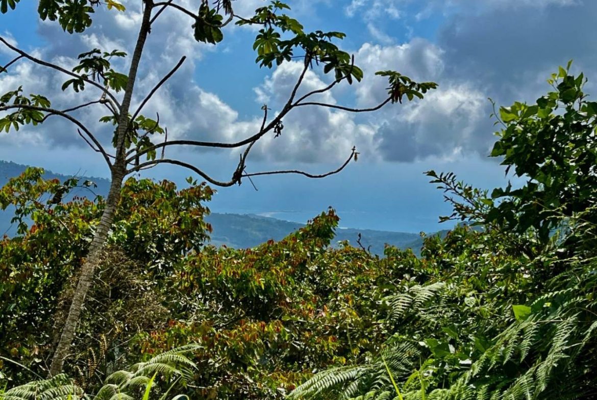PROPERTY NEAR A WATERFALL IN SAN LUIS – 7.24 ACRES