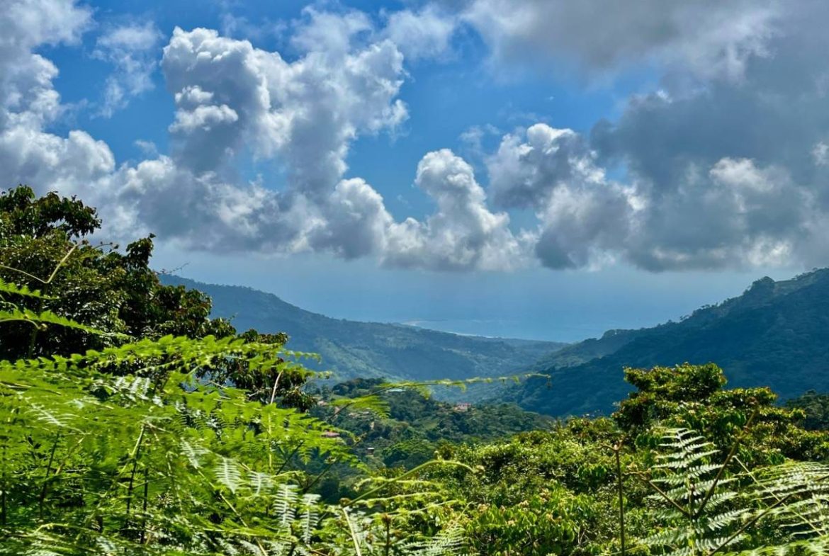 PROPERTY NEAR A WATERFALL IN SAN LUIS – 7.24 ACRES