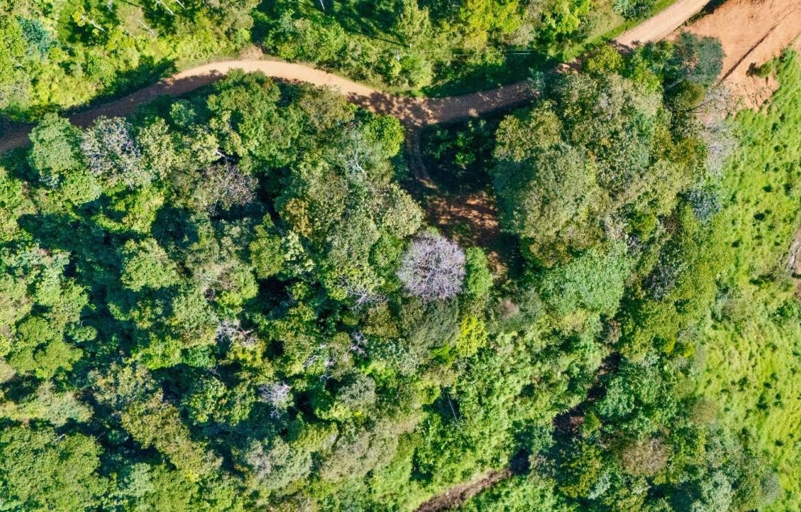 PROPERTY NEAR A WATERFALL IN SAN LUIS – 7.24 ACRES