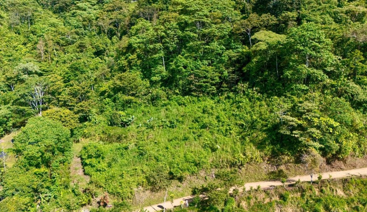 PROPERTY NEAR A WATERFALL IN SAN LUIS – 7.24 ACRES