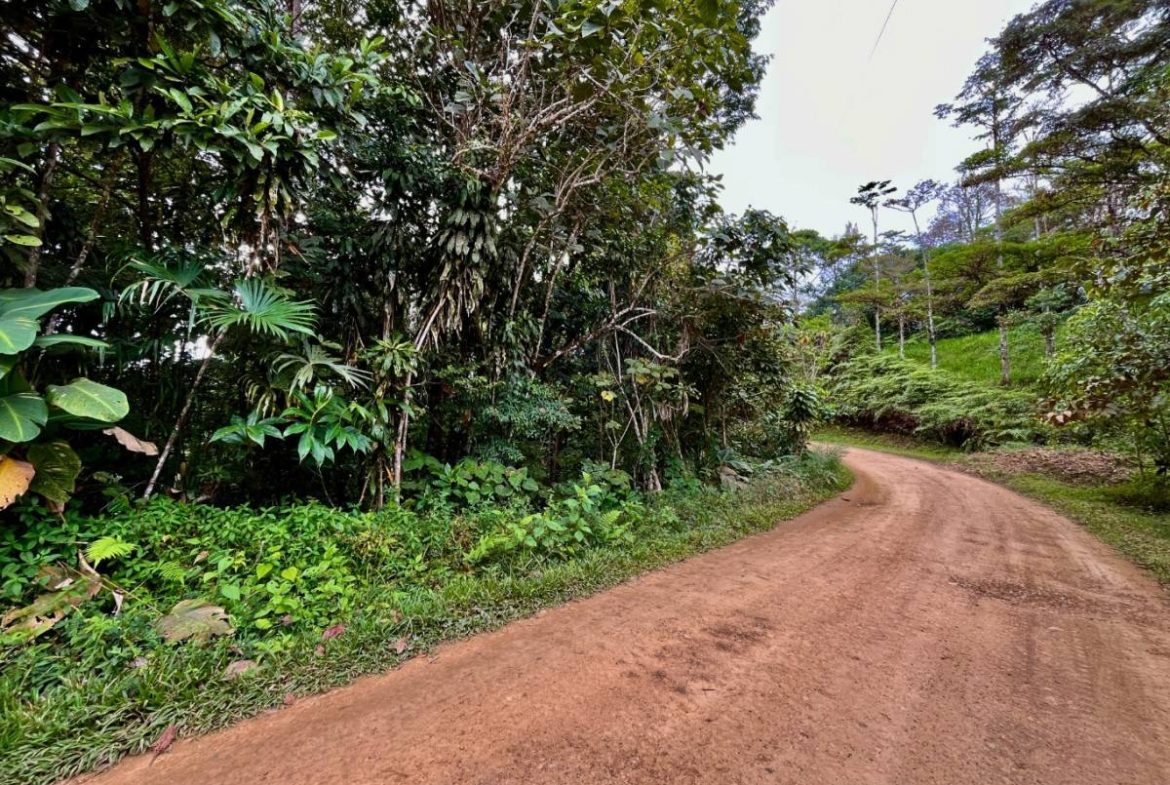 PROPERTY NEAR A WATERFALL IN SAN LUIS – 7.24 ACRES