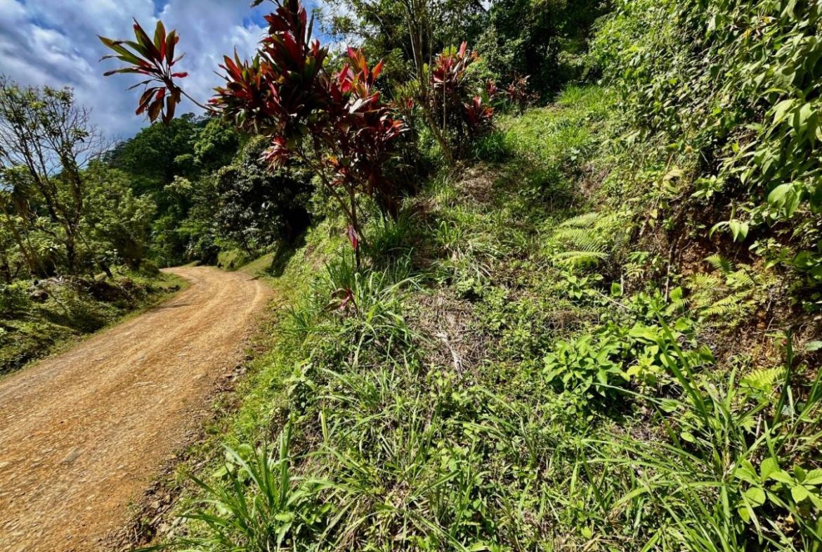 PROPERTY NEAR A WATERFALL IN SAN LUIS – 7.24 ACRES