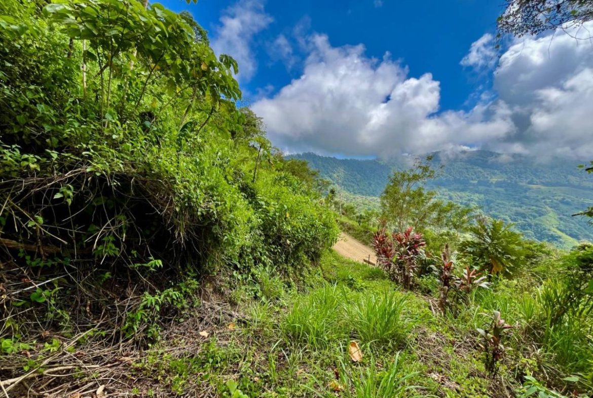 PROPERTY NEAR A WATERFALL IN SAN LUIS – 7.24 ACRES