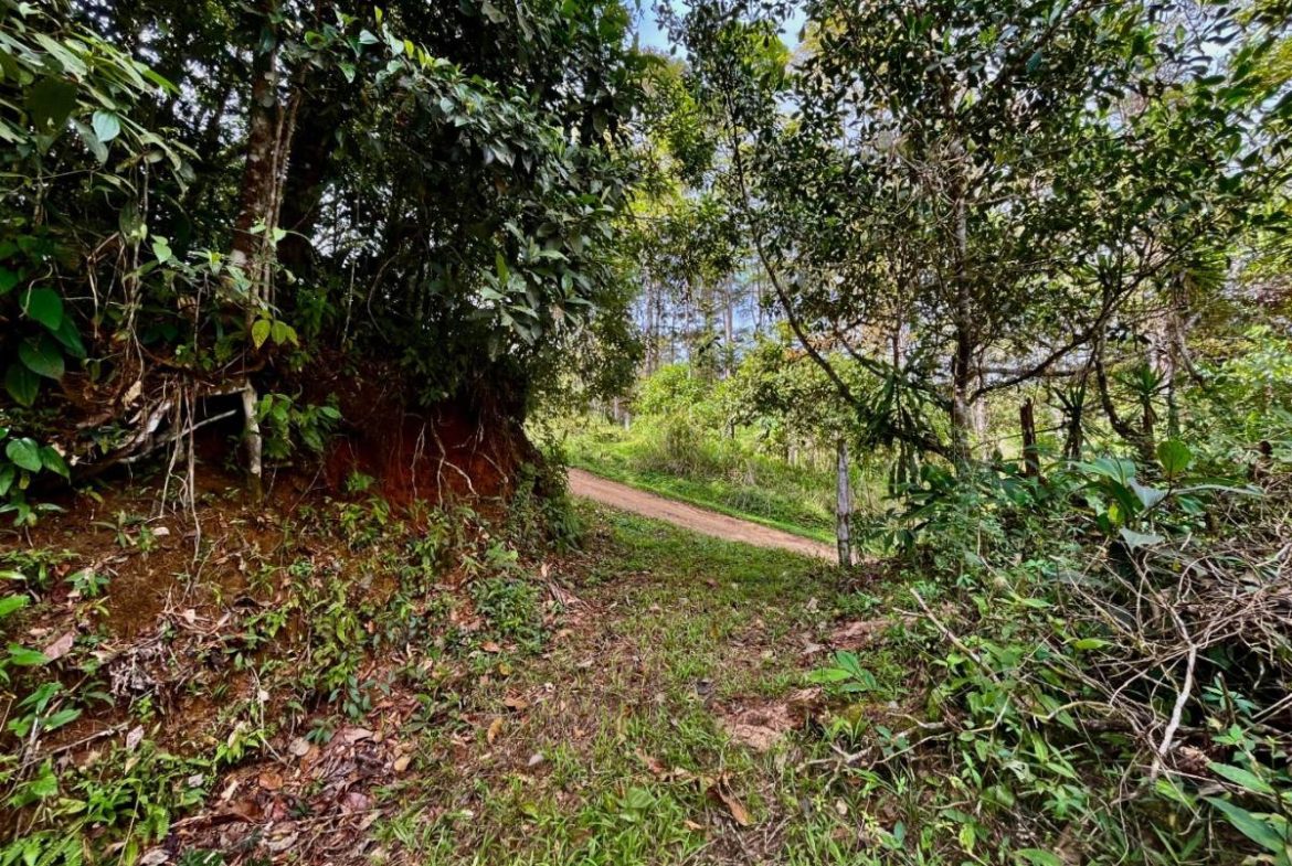 PROPERTY NEAR A WATERFALL IN SAN LUIS – 7.24 ACRES
