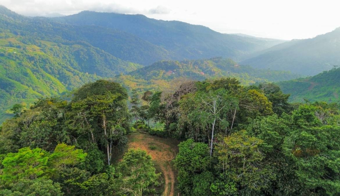 PROPERTY NEAR A WATERFALL IN SAN LUIS – 7.24 ACRES