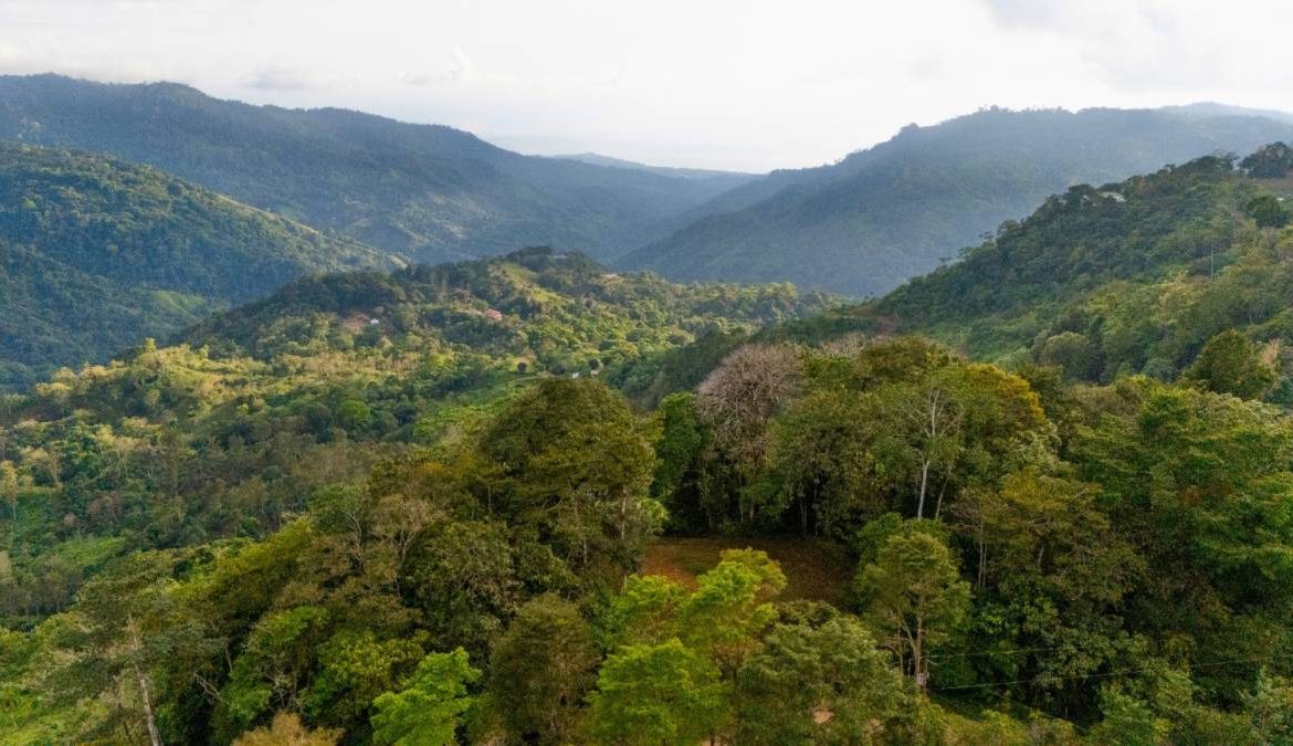 PROPERTY NEAR A WATERFALL IN SAN LUIS – 7.24 ACRES