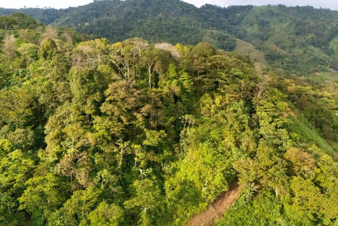 PROPERTY NEAR A WATERFALL IN SAN LUIS – 7.24 ACRES